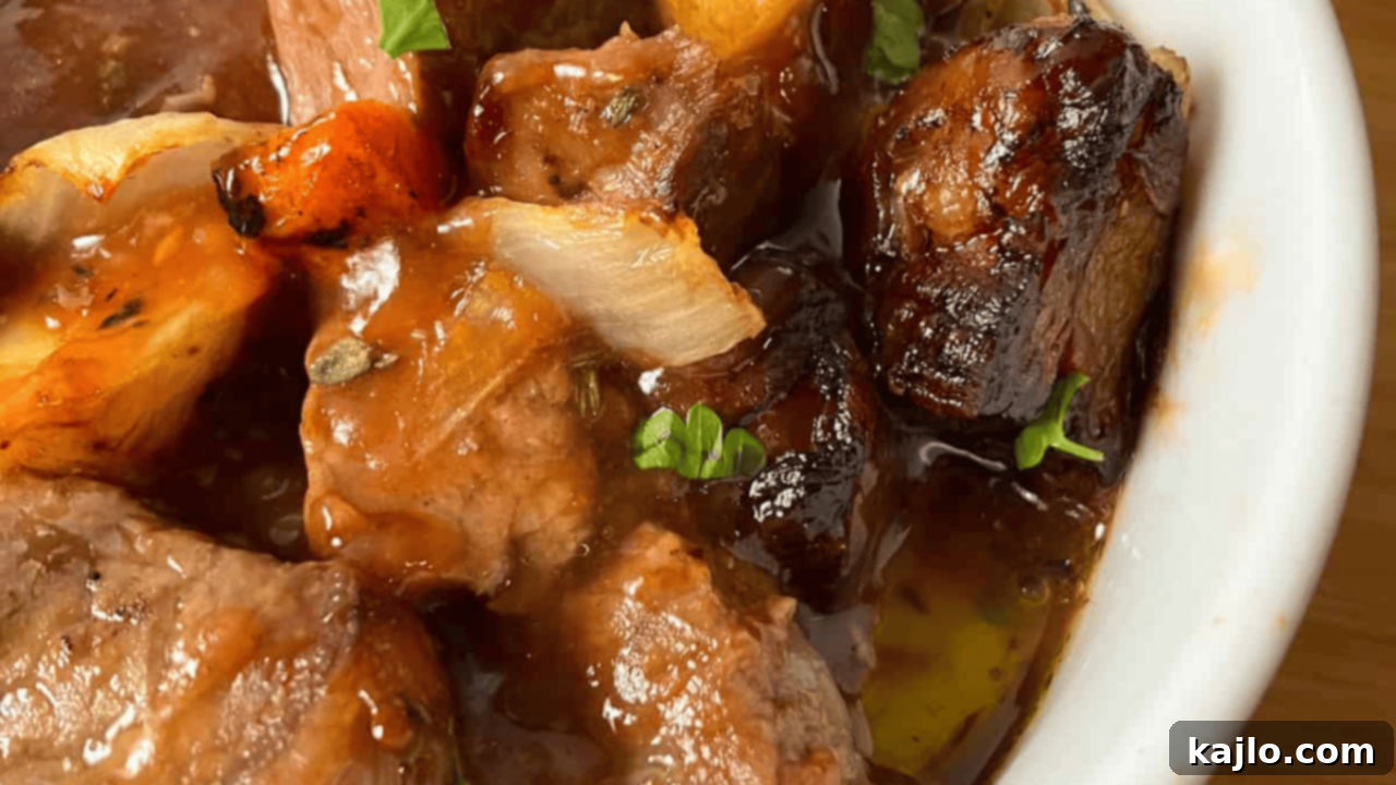 10 Legendary Meat Recipes That Always Impress 6 Hearty air fryer beef stew with tender chunks of beef and colorful vegetables in a rich broth.
