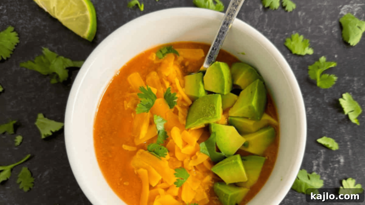 10 Wallet-Wise Bean Recipes 9 soup air fryer