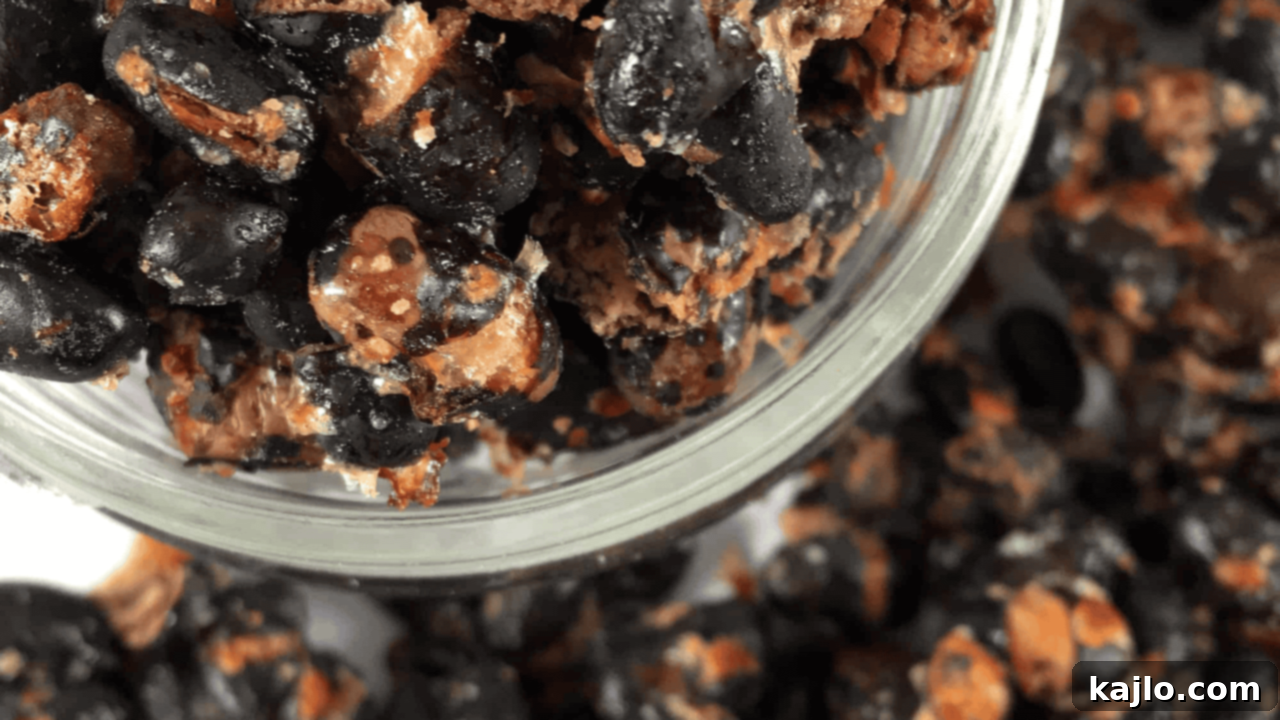 10 Wallet-Wise Bean Recipes 10 roasted black beans snack