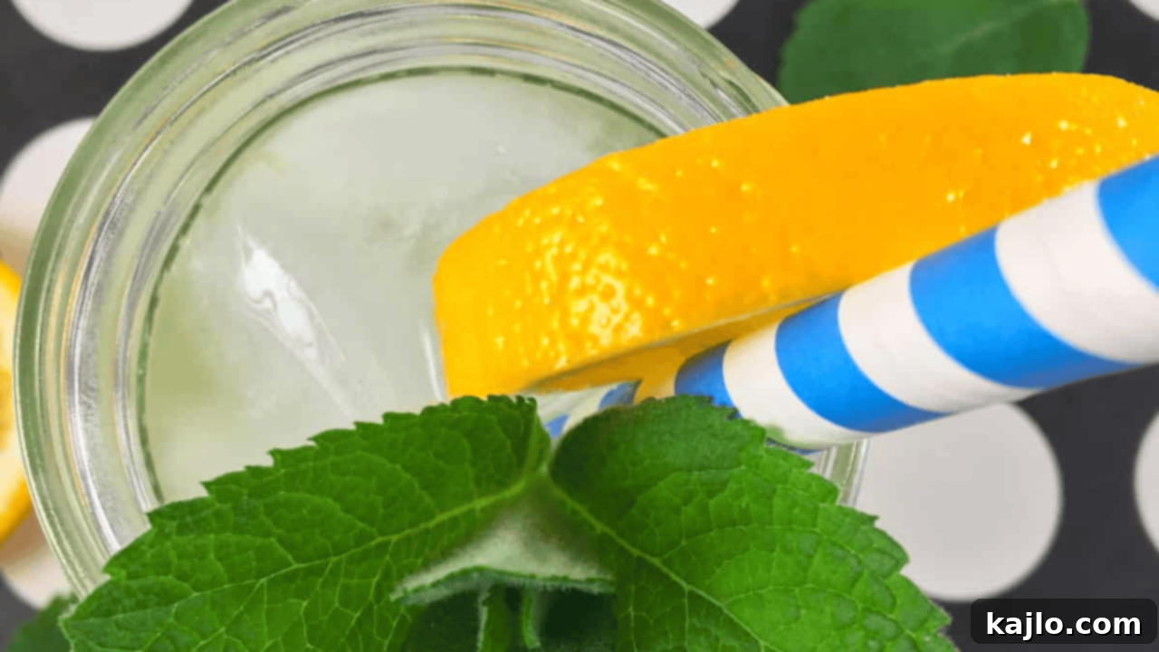 Squeeze the Day: Recipes Beyond Lemonade 3 Lemonade