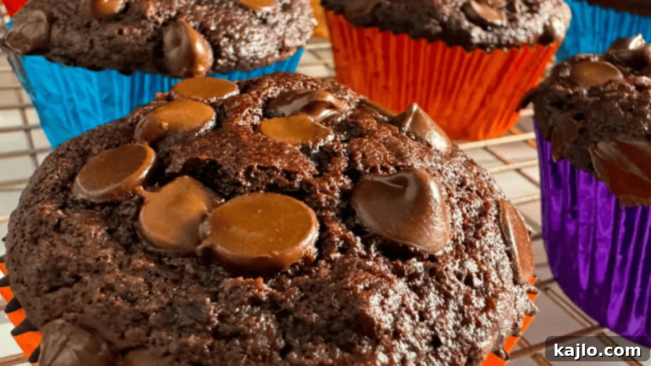chocolate banana protein muffin