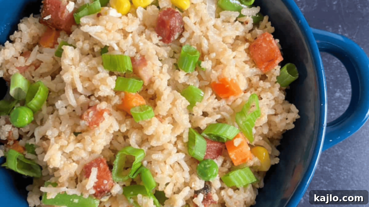 10 Trending Pork Recipes 3 pork belly rice