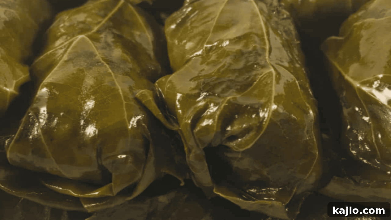 Traditional Instant Pot Dolmades with rice, herbs, and lemon