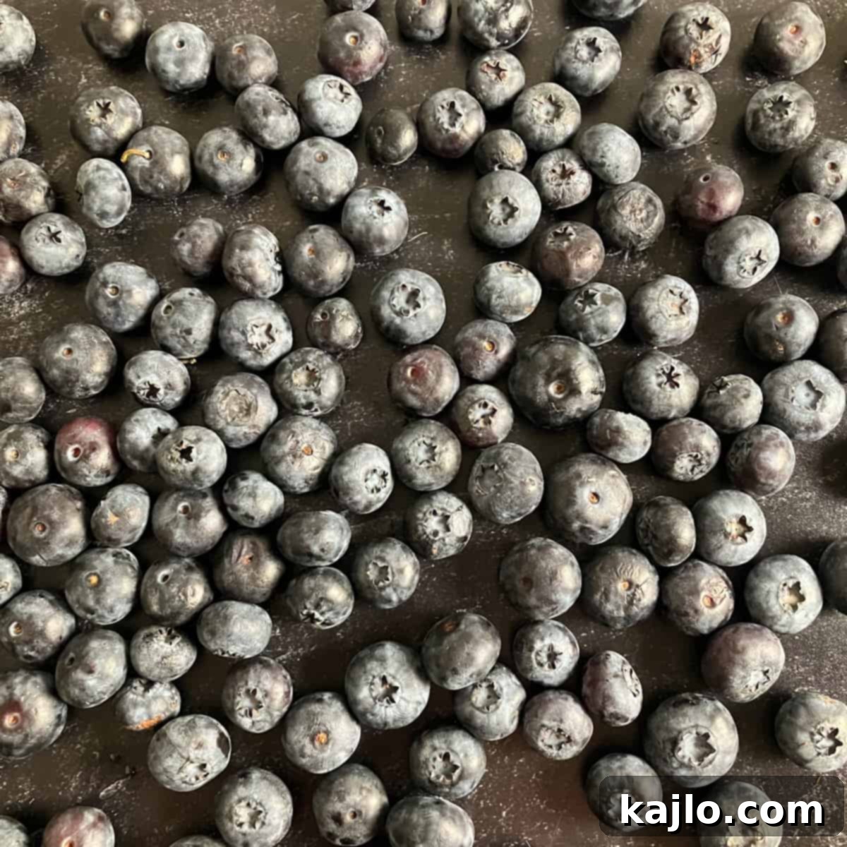 The World of B Fruits Over 40 Varieties Revealed 9 Fresh, ripe blueberries displayed closely together.