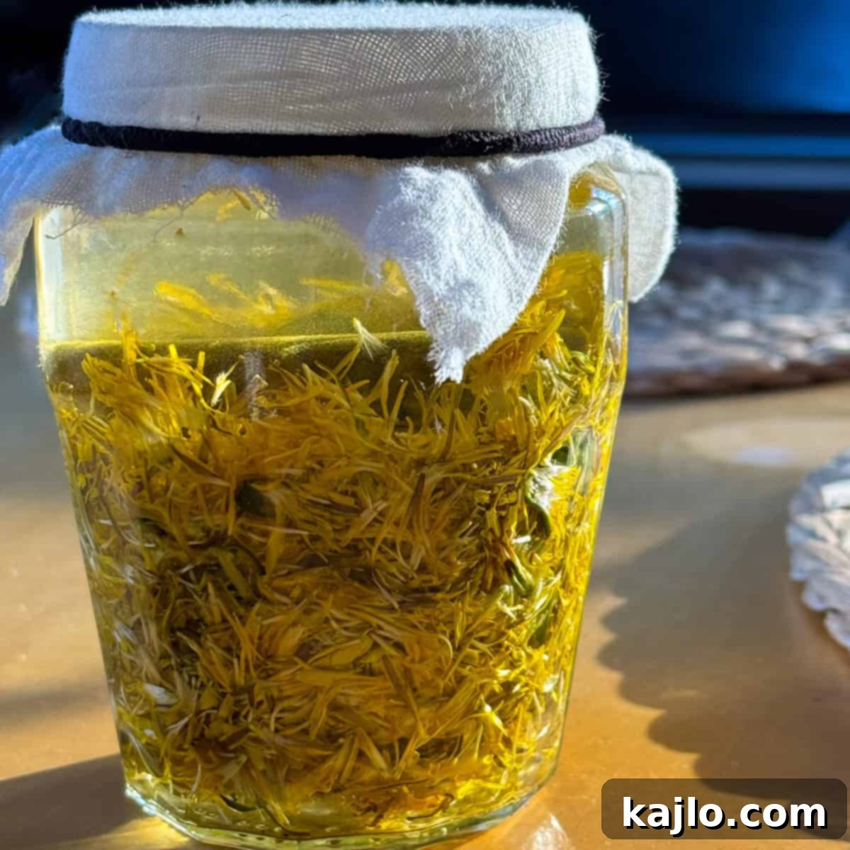 Dandelion petals submerged in sugar water with a fermentation weight and cheesecloth cover