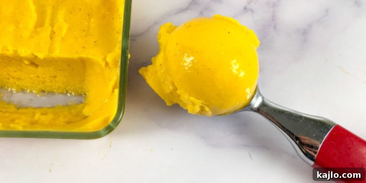 Creamy Sugar Free Mango Nice Cream 3 Mango nice cream in an ice cream scoop