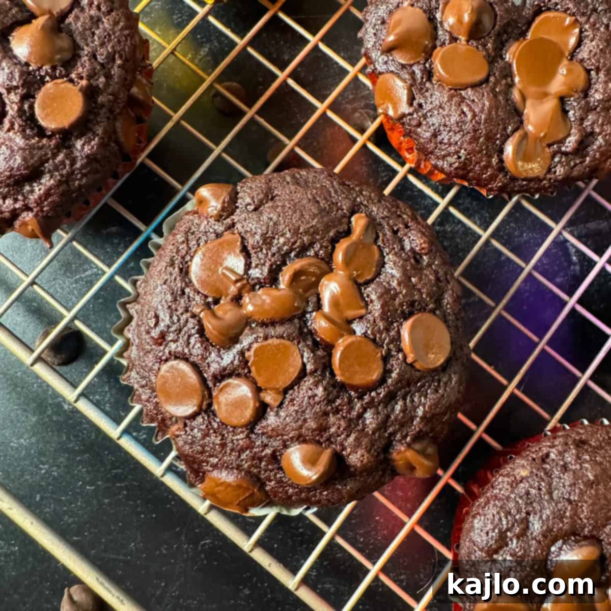 protein muffins chocolate banana