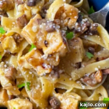 The Ultimate 1000 Calorie Pasta for Weight Gain 9 high calorie pasta for weight gain