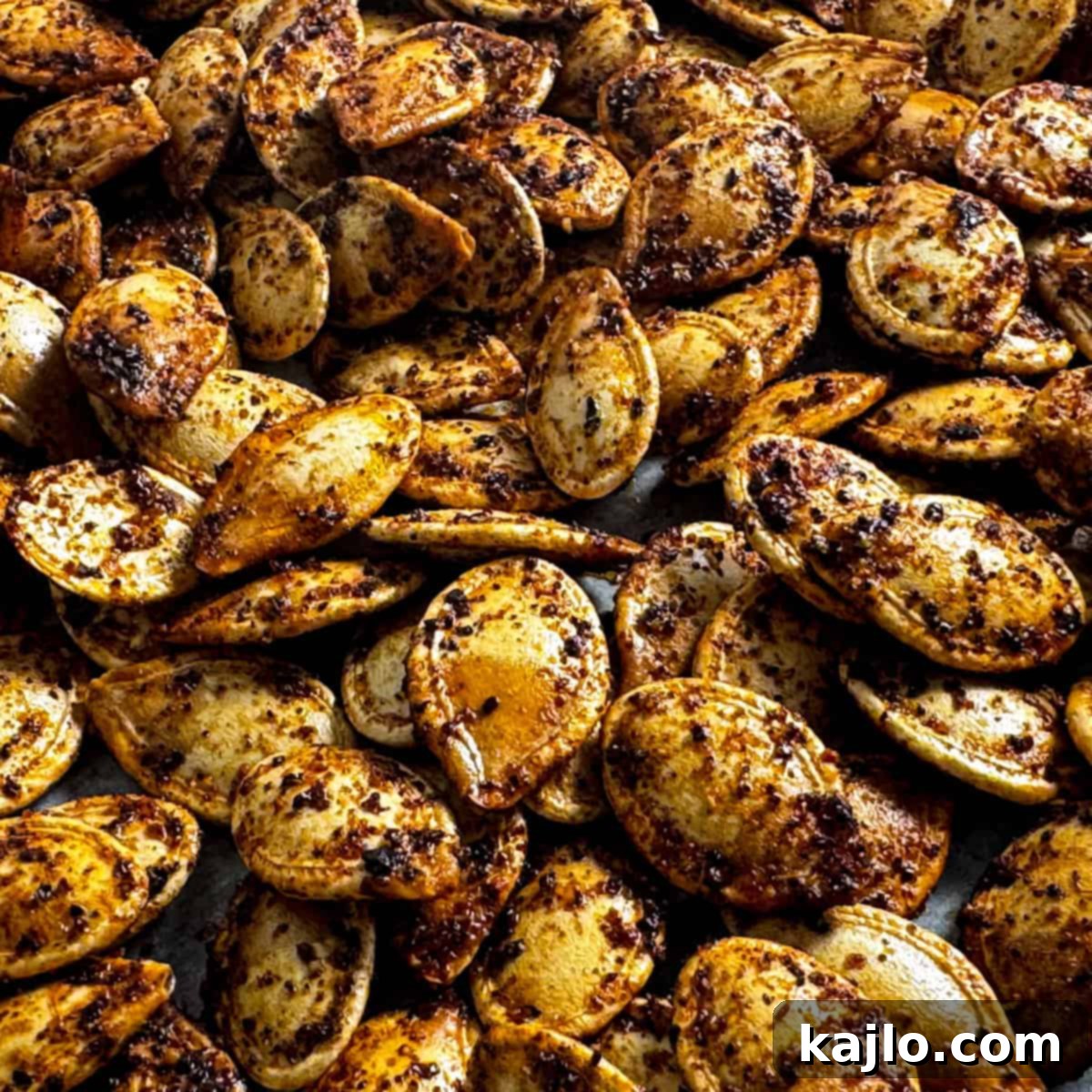 Gourmet Roasted Pumpkin Seeds 7 Roasted pumpkin seeds with unique flavor