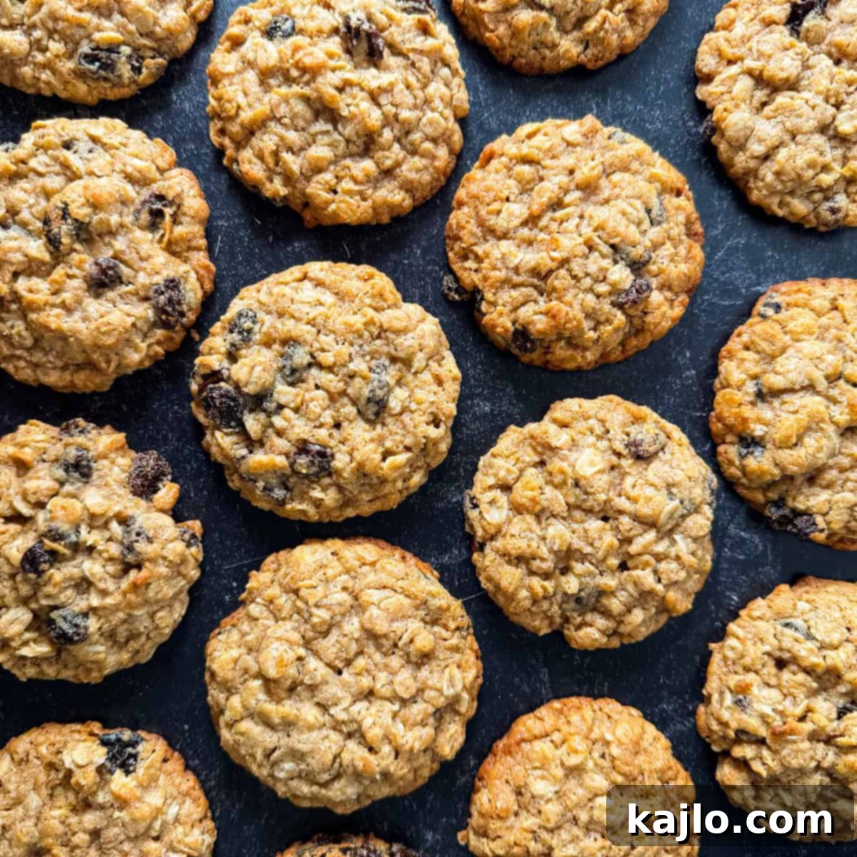 kodiak cakes oatmeal raisin cookies recipe