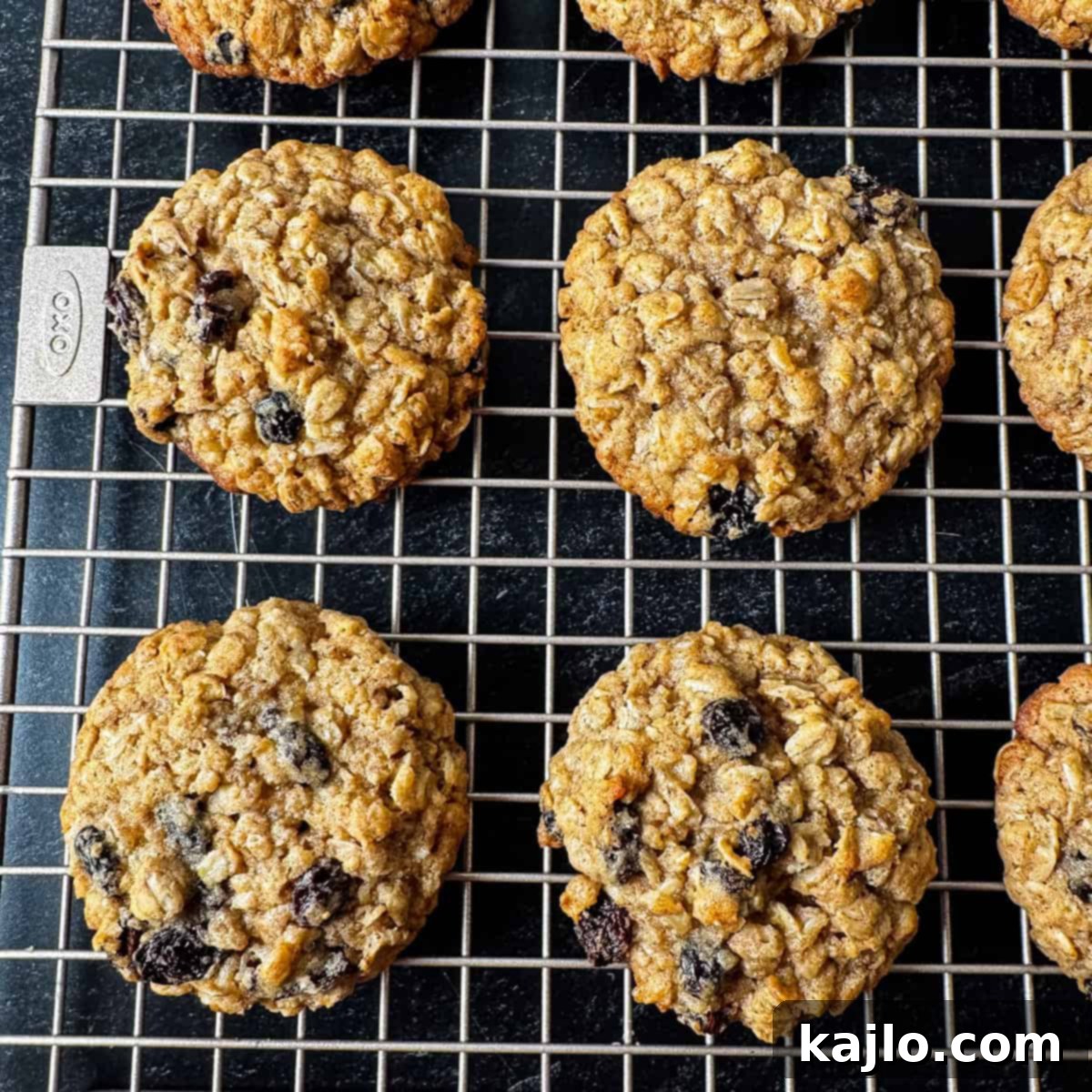 kodiak cakes oatmeal raisin cookies