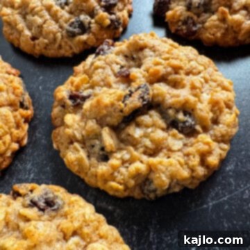 oatmeal raisin cookies made with kodiak mix