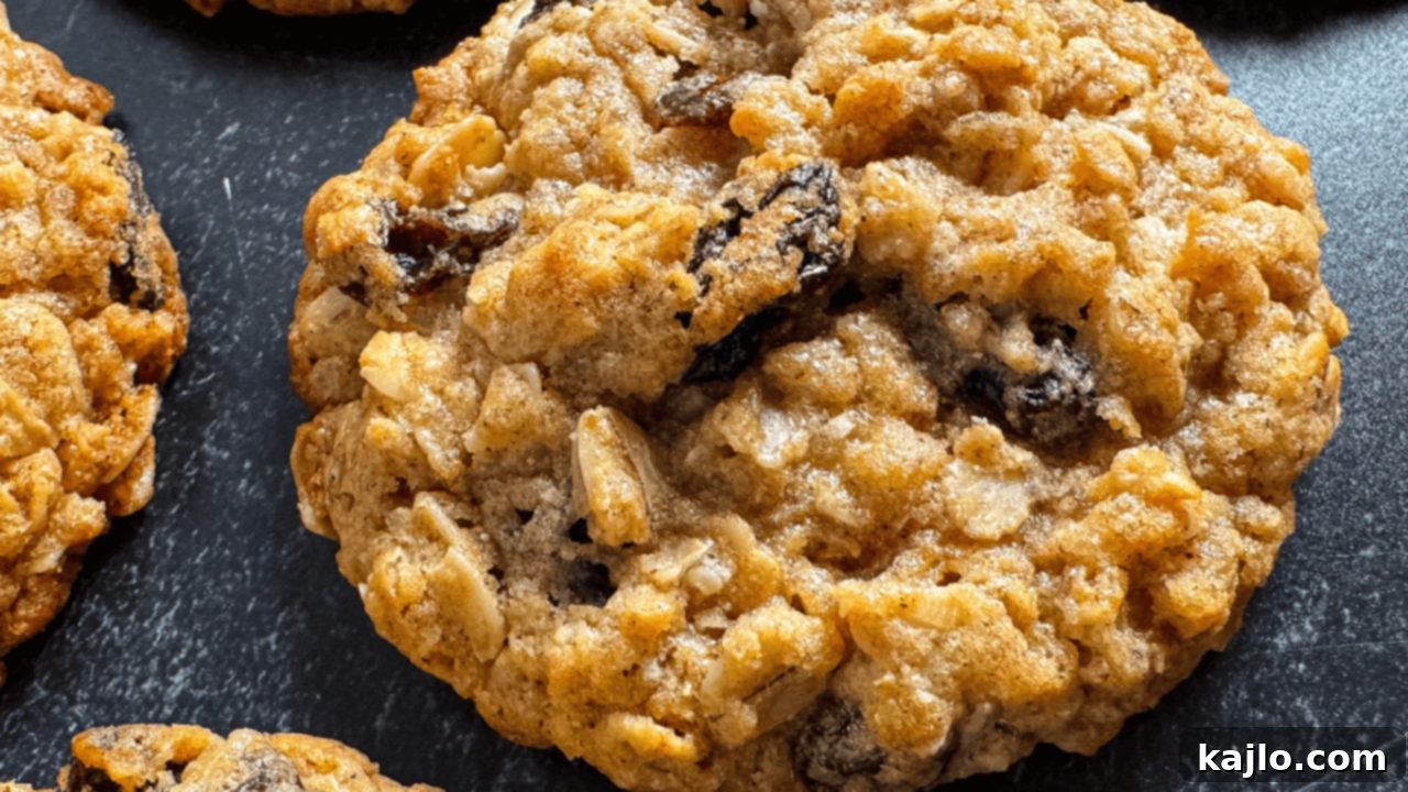Kodiak Cakes Oatmeal Raisin Cookies