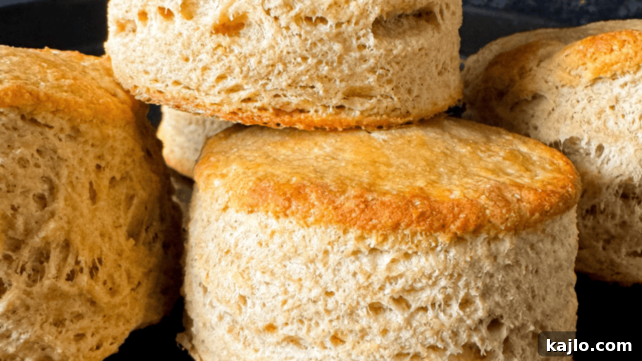 Kodiak Cakes Protein Biscuits