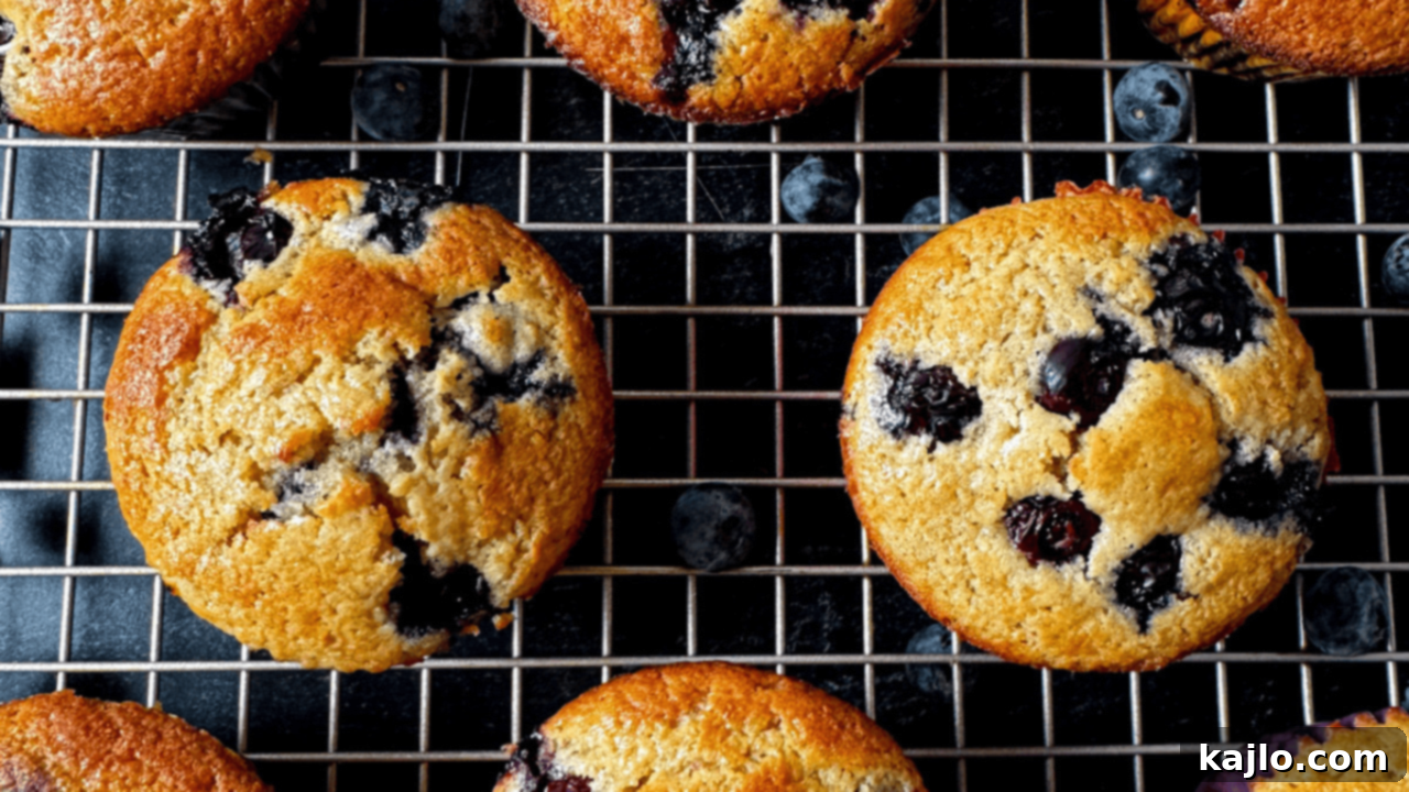 Kodiak Cakes Blueberry Muffins